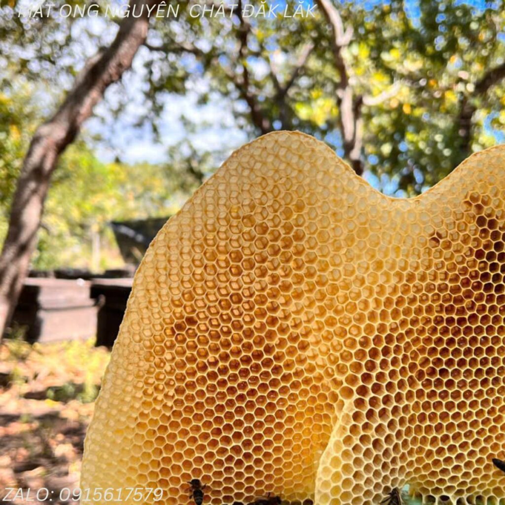 Mật ong nguyên chất tại Bắc Giang